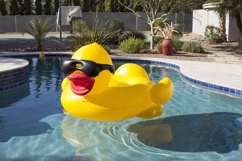 Pin for Later: This Pool Accessory Will Give Your Backyard Music-Festival Style  Derby Duck ($60) Large Pool Floats, Duck Float, Water Hammock, Pool Floaties, Pool Rafts, Swimming Pool Floats, Inflatable Pool Floats, Pool Lounger, Giant Inflatable