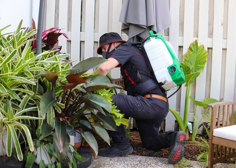 Every homeowner knows that pests can be more than just a simple nuisance. They can cause significant damage to your property, pose health risks, and even affect your quality of life. That's why it's crucial to have a trusted partner like Control Pest Management Brisbane. Understanding the Importance of Pest Control Pest Management, Health Risks, Quality Of Life, Pest Control, Brisbane, Key, Health