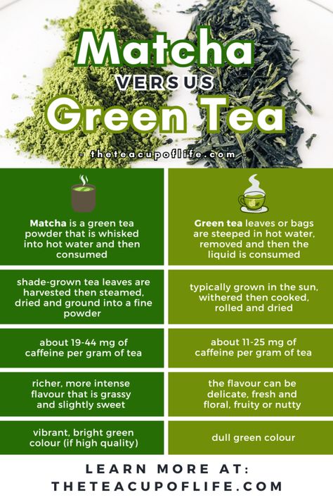 matcha and green tea differences Macha Green Tea, Macha Tea, What Is Matcha, Matcha Green Tea Recipes, Green Tea Drinks, Matcha Aesthetic, How To Make Matcha, Matcha Tea Set, Green Tea Recipes