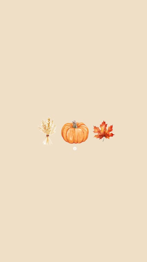 Fall Backgrounds Iphone, Autumn Phone Wallpaper, Cheetah Print Wallpaper, Cute Backgrounds For Iphone, Pumpkin Wallpaper, Halloween Wallpaper Cute, Cute Fall Wallpaper, Iphone Wallpaper Fall, Fall Background