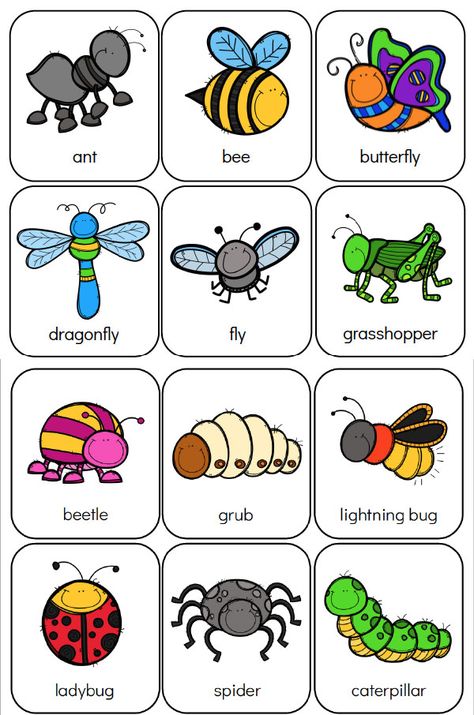 Bug Preschool Theme | Free Printable memory game #kids #kidsactivities #insects #worksheetsforkids #teaching #homeschool #preschool Bug Preschool, Printable Memory Game, Bug Activities, Insects Preschool, Bugs Preschool, Insect Activities, Insect Crafts, Insects Theme, Game Kids