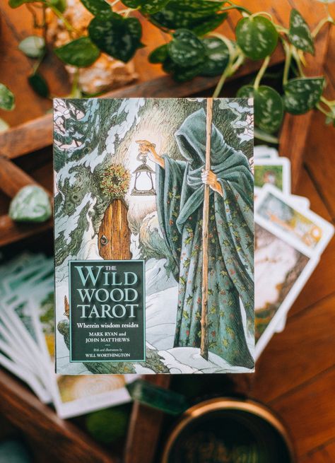 Free stock photo of spiritual, tarot, tarot cards, wild wood tarot, witch craft, witchy Wild Wood Tarot, Wildwood Tarot, Spiritual Tarot, Modern Mystic, Tarot Gifts, Tarot Cloth, Tarot Book, Amethyst Tumbled, Red Rose Petals