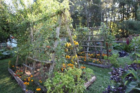 Outdoor Paradise, Heirloom Vegetables, Veg Garden, Garden Greenhouse, Home Vegetable Garden, Community Gardening, Backyard Projects, Perfect Garden, Garden Fencing