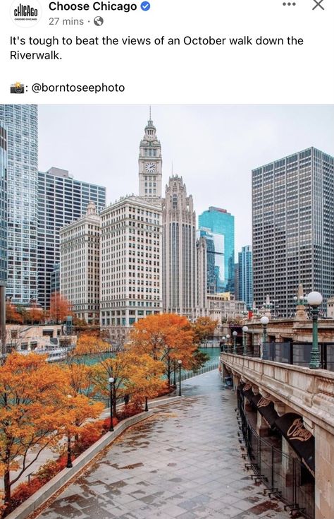 Chicago Itinerary, Rich Aunt, Chicago Fall, Chicago Aesthetic, Chicago Riverwalk, Chicago Marathon, Meg Ryan, My Kind Of Town, Chicago Architecture