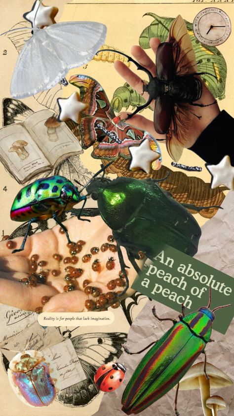 Bug board 🪲 #entomology #bug #insect #atlasmoth #green #academia Entomology Wallpaper, Entomology Aesthetic, Insect Collage, Olivia Art, Bug Board, Folio Ideas, Green Academia, 3d Art Sculpture, Art Folio