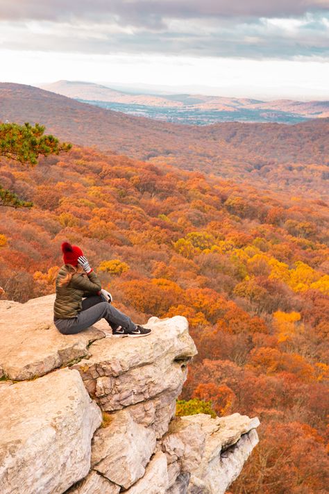 Amazing fall hike in Maryland to see fall foliage!  Perfect day trip from washington dc for autumn! Great photo spot for fall in maryland #fall #autumn #fallfoliage #photograpy Autumn Hike, Marriott Vacation Club, Hiking Fall, Fall Hike, Fall Hikes, Fall Lovers, Caribbean Vacation, Fall Activity, Fall Festivals