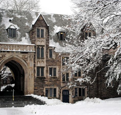 Study Cozy, Aspen Vacation, February Winter, Snowy Landscape, Winter Inspo, School Study, Cozy Aesthetic, Winter Cold, Winter Scenery