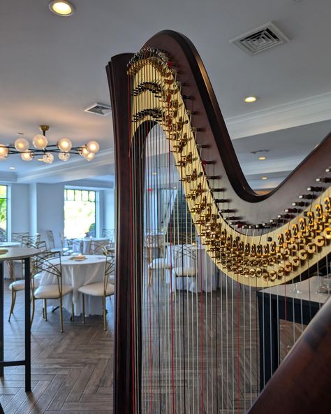 I always love getting to play at Waters Edge! This was from a gorgeous cocktail hour this past weekend 💖 They requested country music and romantic favorites! #harp #newyorkweddings #weddingmusic #njwedding #nyweddingplanner #pawedding #phillywedding #harpist #weddingmusician #musician #weddingmusician #liwedding #orchestramusician #practicalharpist Harp Wedding, Wedding Musicians, Wedding Music, Nj Weddings, Cocktail Hour, Harp, Art Collage, Life Art, Country Music