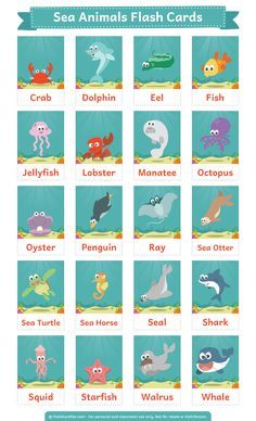 Animali marini Ocean Animal Flashcards, Sea Animals Printables Free, Ocean Animals Flashcards, Ocean Animal Printables Free, Sea Animals Flashcards Free Printable, Flash Cards Ideas, Animal Cards For Kids, Sea Animals Flashcards, Flashcards Ideas