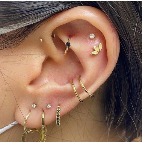 Sacred Gold’s Instagram photo: “We are in AWE of this fully healed full curation by our amazing piercer Gemma @gemstonepiercing 😍😍😍💛 All @bvla @bvlalove beauties, styled…” Full Ear Piercings, Ear Art, Cool Ear Piercings, Pretty Ear Piercings, Gold Tattoo, Cute Ear Piercings, Ear Style, Cute Piercings, Piercings Unique