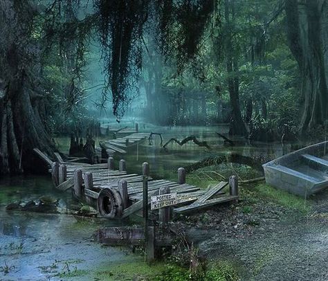 Louisiana Bayou Louisiana Aesthetic, Mystery Aesthetic, Mystery Case Files, Hidden Object Game, Louisiana Swamp, Big Fish Games, Louisiana Bayou, Game Screenshots, Louisiana Art