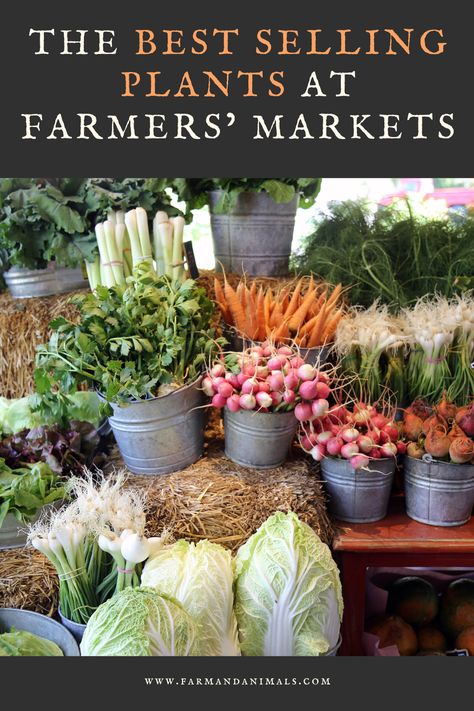 Farm Market Ideas, Selling Plants, Farmers Market Stand, Farmers Market Booth, Farmers Market Display, Farmers Market Recipes, Farm Business, Stand Ideas, Market Garden