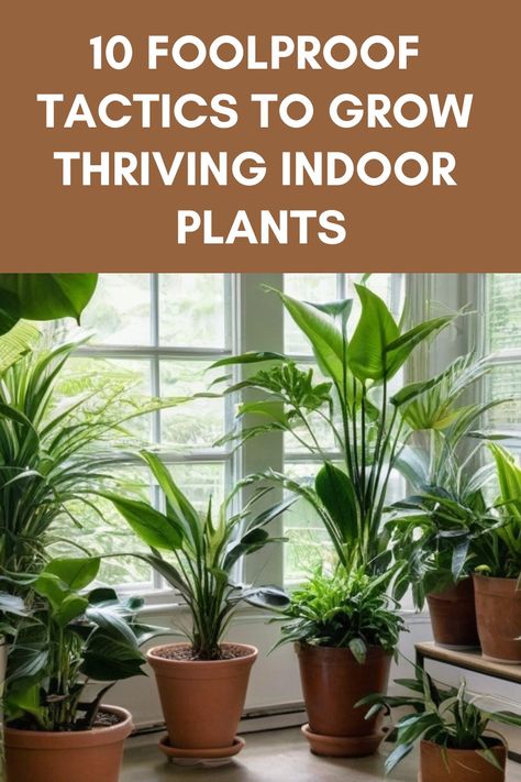 Discover the secrets of cultivating lush indoor plants with our step-by-step guide on how to grow indoor plants. Learn about the best lighting conditions, watering schedules, potting tips, and plant care techniques to create a thriving green oasis in your home. Whether you're a beginner or seasoned gardener, our comprehensive tips will help you nurture healthy and vibrant houseplants effortlessly. Elevate your space with the beauty of nature and bring life to every room by mastering the art of i Nature, House Plants Care Tips, Houseplant Care Tips, Watering Indoor Plants, Indoor Plant Care Guide, Natural Insecticide, Plant Styling, Houseplant Care, Plant Maintenance