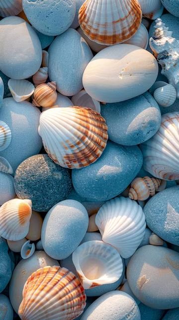 Premium Photo | Seashells on Rocks Generative AI Sea Shell Photography, Shells Photography, Seashell Photo, Shell Photo, Supermarket Design Interior, Sea Stones, Beach Shells, Wallpapers For Mobile Phones, Supermarket Design