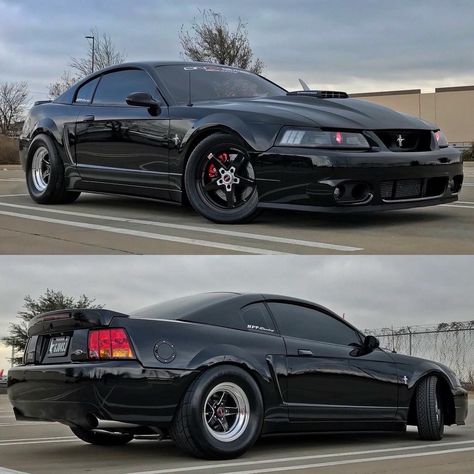 Looks alot like my mustang🤔 2003 Ford Mustang Gt, Black Mustang Gt, 2003 Mustang, New Edge Mustang, 2002 Ford Mustang, Saleen Mustang, Tattoos Celebrities, 2000 Ford Mustang, 2001 Ford Mustang