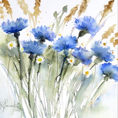 Kaye Parmenter | WATERCOLOR | Cornflower Blue Cornflower Drawing, Watercolor Cornflower, Ursula Art, A Flower Drawing, Art Mediums, Flower Drawings, Watercolour Flowers, Symbol Of Love, Flower Watercolor