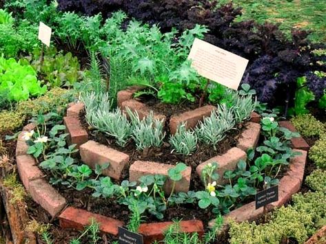 Spiral Garden, Landscape Gardening, Herb Garden Design, Brick Garden, Potager Garden, Recycled Garden, Garden Edging, North London, Veggie Garden