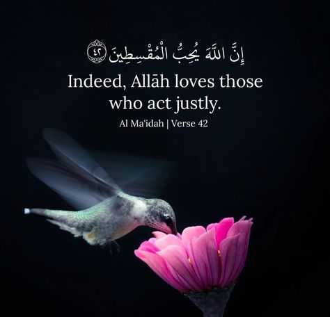 Source: guidanceofthequran (Instagram) #islam #muslim #quran #arabic #english #justice #translation #islamic #quotes Arabic Quotes With Translation, Muslim Quran, Allah Love, Beautiful Quran Quotes, Quran Quotes, Arabic Quotes, Islamic Quotes, Quran, Quotes