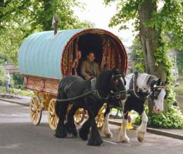 Old Photos Of Irish People | Gypsy Cob and Drum Horse Association. Drum Horse, Gypsy Cob, GCDHA ... Arm Candies, Horse Drawn Carriage, Horse Drawn Wagon, Modern Hippie, Hippie Fashion, Jewelry Ear, Covered Wagon, Draft Horses, Horse Drawn