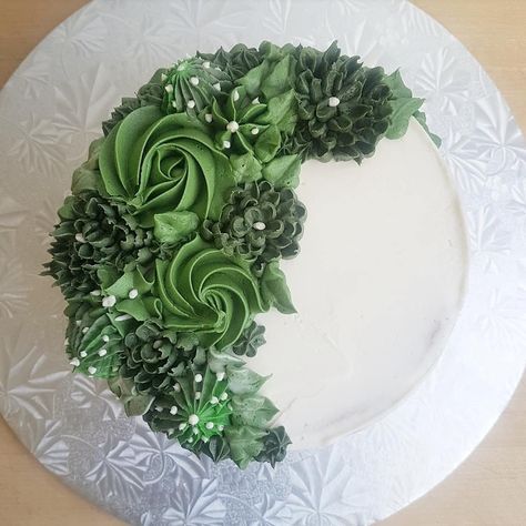 Cake Plants Design, Plant Cakes Ideas, Whole Foods Cake, Vegan Birthday Cake, Succulent Cake, Birthday Cake For Mom, Green Cake, Garden Cakes, Simple Birthday Cake