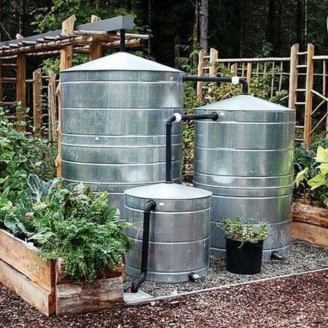 Drip System, Wildlife Garden, Rain Collection, Rainwater Harvesting, Water Collection, Garden Area, Rain Barrel, Rain Water Collection, Water Storage