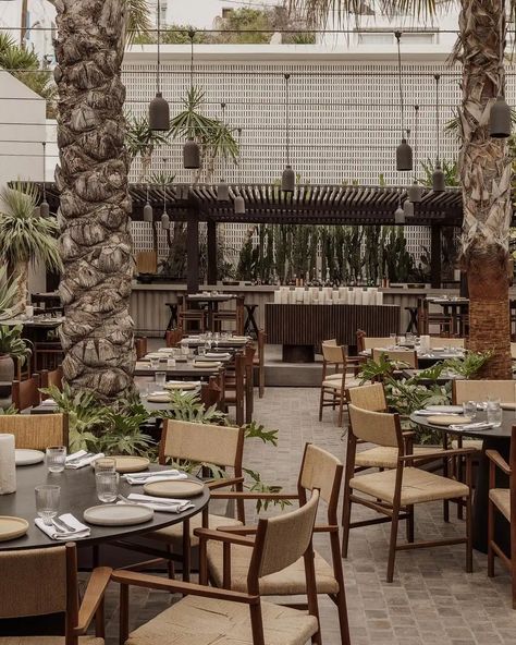 Top 10 Restaurants in Mykonos Right Now - Alotea Noema Mykonos, Mykonos Restaurant, Top 10 Restaurants, Mykonos Greece, Top Restaurants, Beach Bars, South American, Mykonos, Beach Club