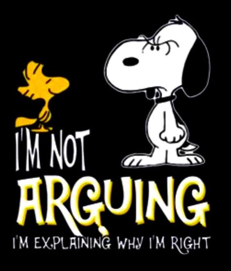 Funny Snoopy, Peanuts Quotes, Charlie Brown Quotes, Snoopy Cartoon, Snoopy Shirt, Snoopy Funny, Snoopy Images, Peanuts Cartoon, Snoopy Wallpaper