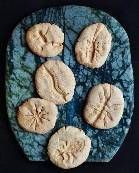 Make amazing fossil cookies by stamping dough with plastic toys before baking! Dinosaur birthday party Fossil Cookies, Bug Toys, Martha Stewart Recipes, Martha Stewart Living, Monster Cookies, Martha Stewart, Biscotti, Sugar Cookies, Kids Meals