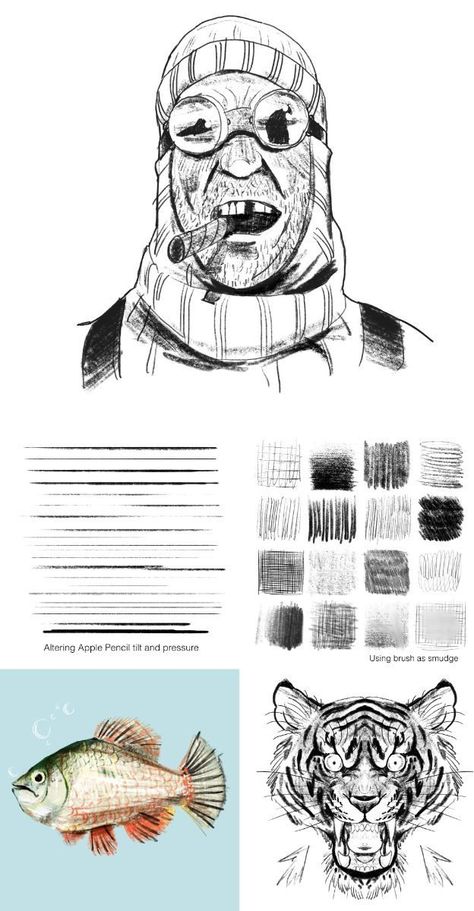 Procreate brushes for pencil sketching ✍️ Sketching Procreate, Adobe Illustrator Brushes, Procreate Brushes Download, Pencil Strokes, Brush Tattoo, Best Procreate Brushes, Pencil Brush, Skin Paint, Pencil Sketching