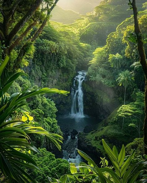 Tropical Castle, Tarzan Aesthetic, Jungle With Animals, Tropical Plants Outdoor, Rainforest Aesthetic, Hawaii Forest, Aesthetic Jungle, Rainforest Pictures, Tropical Mountains