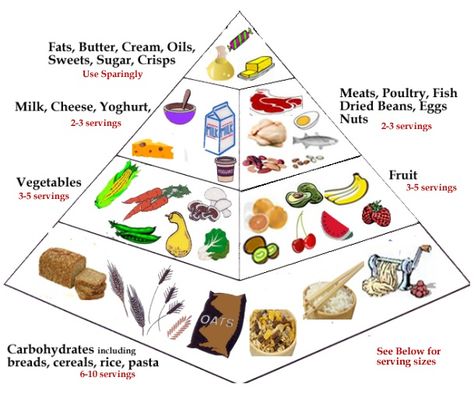 Pasta Serving Size, Food Guide Pyramid, Food Triangle, Food Pyramid Kids, Cooking Verbs, Facts About Nutrition, Nutrition Pyramid, Prader Willi Syndrome, Yeast Infection Causes