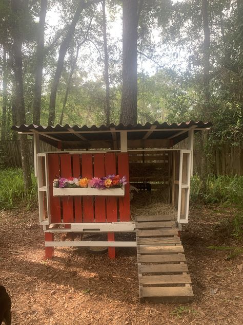 Chicken Coop From Pallets, Coop From Pallets, Coop Roost Ideas, Chicken Coop Decorations, Chicken Coop Roost Ideas, Chicken Coop Roost, Pallet Backyard, Coop Plans Free, Decorating Backyard