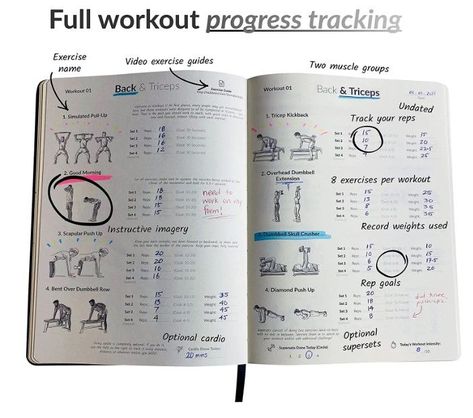 13-week fitness planner requiring only dumbbells! It's designed to help you track your weight/reps. This is really a hybrid between a personal trainer and workout log book! NO THINKING NEEDED! 65 workouts laid out in the workout journal / workout planner. #1 fitness journal for women & men. Each workout is broken into two primary muscle groups. The workout notebook has 4 exercises per muscle group to record in your fitness log. Dumbbell Home Workout, Workout Notebook, Journal Workout, Workout Log Book, Lemon Water Before Bed, Workout Book, Workout Journal, Planner Workout, Tricep Kickback