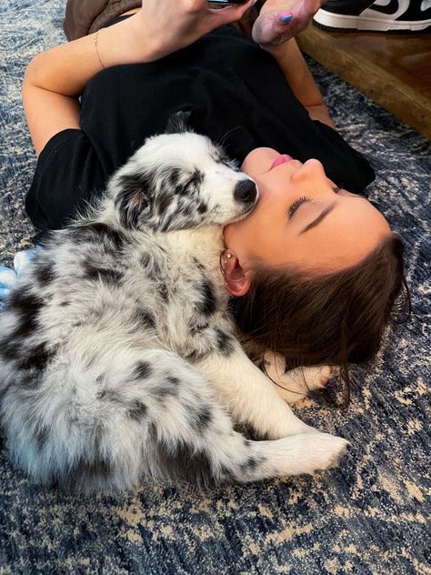 Aussie Puppy, Blue Merle Aussie, Australian Shepherd Blue Merle, Most Beautiful Dogs, Aussie Puppies, Australian Shepherd Puppies, Border Collie Puppies, Australian Shepherd Dogs, Very Cute Dogs