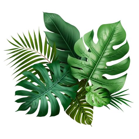 Jungle Leaves Clipart, Psd Files Download Free, Cricut Leaves, Rain Forest Plants, Safari Leaves, Tropical Png, Rainforest Leaves, Aesthetic Leaves, Tropical Inspiration