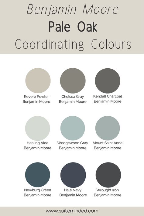 Paint Colour Review: Pale Oak By Benjamin Moore - A Favourite — Suite Minded Bm Pale Oak Coordinating Colors, Pale Oak Coordinating Colors, Griege Paint, Pale Oak Benjamin Moore, Paint Pallette, Laundry Room Paint Color, Benjamin Moore Exterior, Pale Oak, Home Paint Color