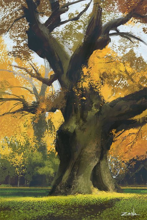 Eytan Zana - Tree Study Croquis, Eytan Zana, Forest Drawing, Tree Study, Dungeons And Dragons Art, Art Landscapes, Landscape Concept, Tree Illustration, Fantasy Art Landscapes