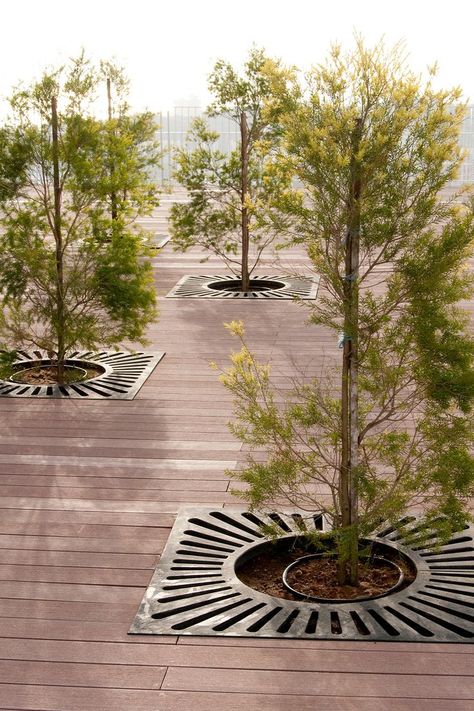 Tree Protection, Drainage Grates, Tree Grate, Privacy Screens, Street Furniture, Modern City, Decorative Panels, Privacy Screen, Park Bench