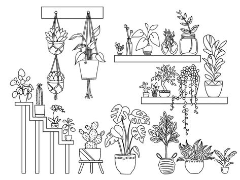 Plants On Shelf Drawing, How To Draw House Plants, Plant Shelf Drawing, Hanging Plant Drawing Simple, Potted Plant Doodles, Plant Outline Drawing, Hanging Plant Drawing, Potted Plant Drawing, House Plant Drawing