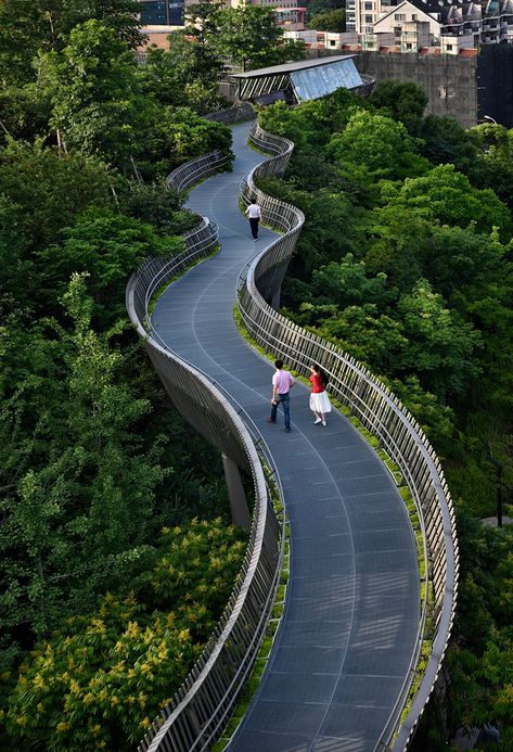 Fuzhou Forest Walkway by LOOK Architects Villa Architecture, Pedestrian Walkway, Plans Architecture, Urban Forest, Landscape Design Plans, Lan Can, Landscape Architecture Design, Urban Park, Landscaping Supplies