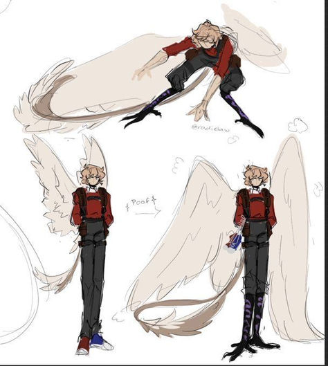 Harpy Wings Reference, Bird Like Character Design, Bird Hybrid Human Art, Character Wings Design, Half Harpy Half Human, Bird Hybrid Character Design, Art Reference Poses With Wings, Bird People Drawing Reference, Folded Bird Wings Reference