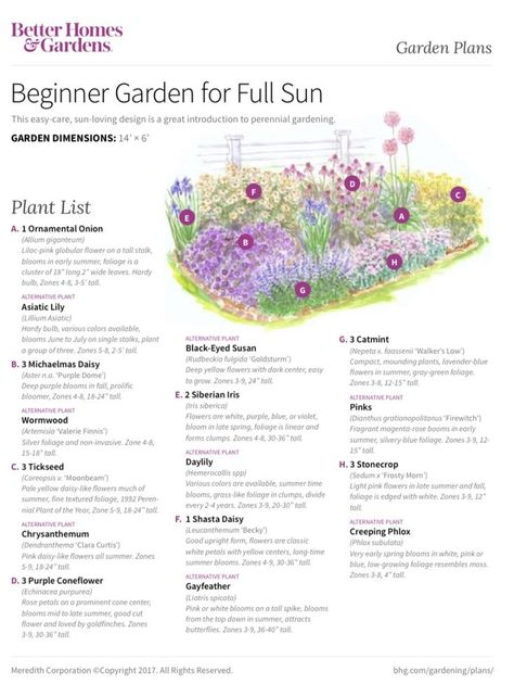 Beginner Garden, Flower Garden Layouts, Full Sun Garden, Perennial Garden Plans, Flower Garden Plans, Flower Bed Designs, Green Meals, Full Sun Perennials, Garden Plan