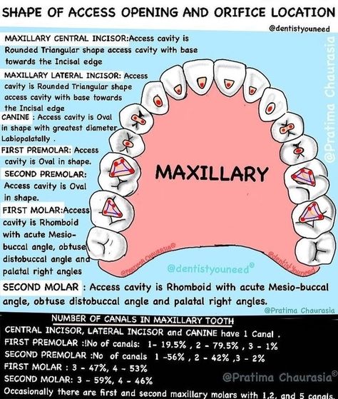 Dental Abbreviations, Dental Assistant Study Guide, Dental Notes, Dental Charting, Dental Assistant Study, Dental Education, Dental Hygiene Student, Dental World, Dental Videos