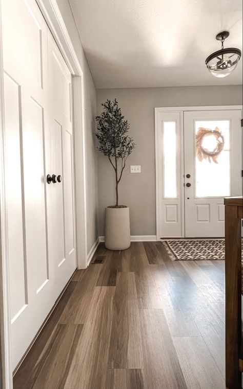 Corner Styling, End Of Hallway, Entryway Style, Faux Tree, Front Entrance, Updating House, Living Room Inspo, Olive Tree, House Entrance