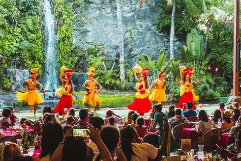 The origins of the Hawaiian luau, luaus and luau foods of today and tips on attending a luau in Hawaii. Oahu Luau, Tropical Vacation Destinations, Maui Luau, Oahu Waikiki, Honolulu Zoo, Hawaii Itinerary, Maui Resorts, Honolulu Waikiki, Waikiki Hawaii