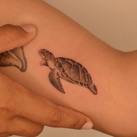 Tattoo Ideas Sea Turtle, Sea Turtle Tattoo Design, Small Turtle Tattoo, Surf Tattoo, Turtle Tattoos, Sea Turtle Tattoo, Turtle Tattoo Designs, Small Turtle, Ear Tattoo Ideas