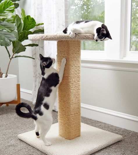 Cat Trees Diy Easy, Cat Trees Homemade, Diy Cat Scratching Post, Diy Cat Scratcher, Diy Cat Tower, Cat Scratcher Post, Diy Cat Tree, Diy Cat Toys, Cats Diy Projects