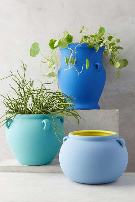 Pierre Color-Contrast Pot Gardening Pots, Plant Pot Diy, Pottery Pots, Painted Pots Diy, Cape House, Flower Pots Outdoor, Ceramic Flower Pots, Ceramic Plant Pots, Colorful Plants