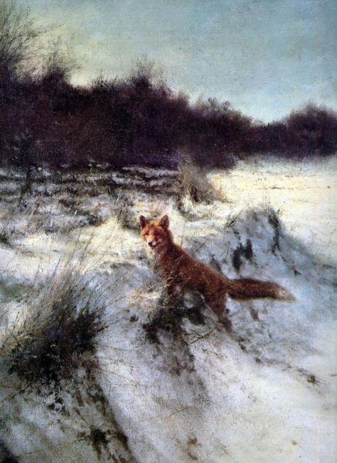 Rien Poortvliet (Dutch, 1932-1995)  Foxes in their habitat series Fox Painting, Fox Illustration, Forest Nature, Fox Art, Dutch Artists, Norman Rockwell, Winter Art, Arte Animal, Wildlife Art