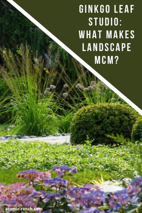 Midcentury Modern Landscape Ideas, Mcm Front Yard Landscaping, Mcm Garden Design, Mcm Landscape Design, Mcm Landscaping Front Yards, Mid Mod Landscaping, Century Plant Landscape, Mcm Garden, Mcm Landscaping